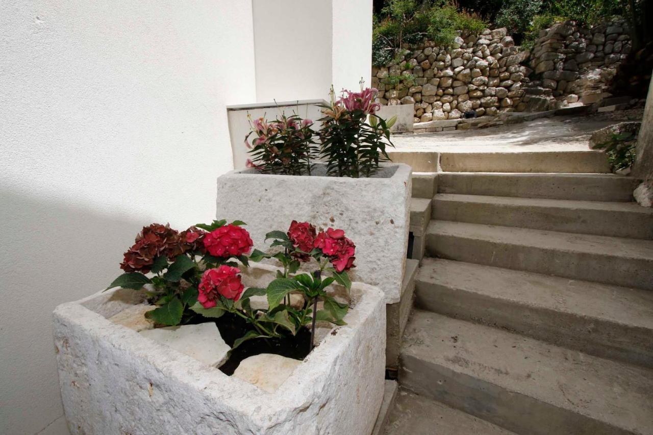 Apartmani Rustica Drasnice Εξωτερικό φωτογραφία